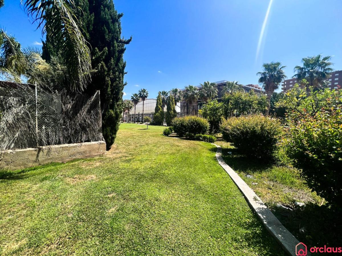 Apartament Centrico Y Renovado Oropesa del Mar Zewnętrze zdjęcie